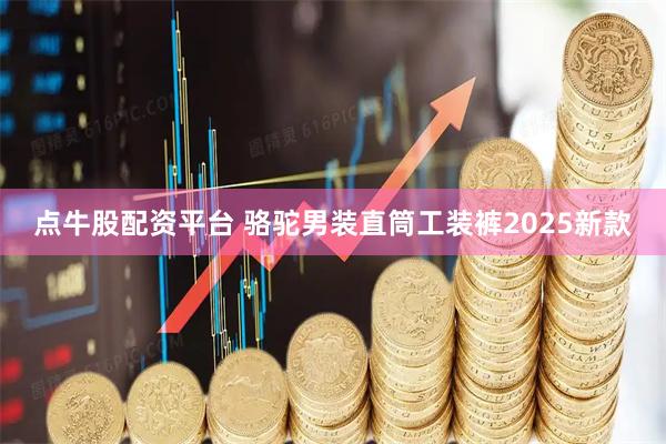 点牛股配资平台 骆驼男装直筒工装裤2025新款
