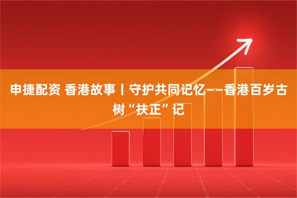 申捷配资 香港故事丨守护共同记忆——香港百岁古树“扶正”记