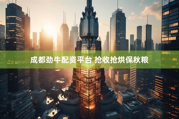成都劲牛配资平台 抢收抢烘保秋粮