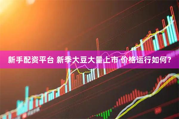 新手配资平台 新季大豆大量上市 价格运行如何？