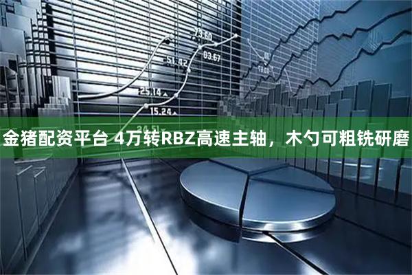 金猪配资平台 4万转RBZ高速主轴，木勺可粗铣研磨