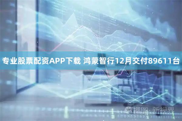 专业股票配资APP下载 鸿蒙智行12月交付89611台