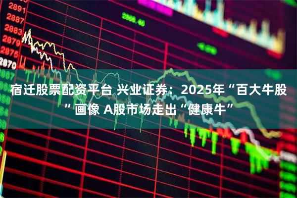 宿迁股票配资平台 兴业证券：2025年“百大牛股”画像 A股市场走出“健康牛”