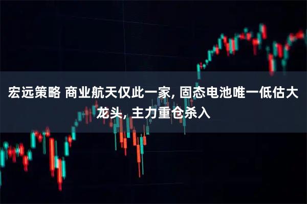 宏远策略 商业航天仅此一家, 固态电池唯一低估大龙头, 主力重仓杀入