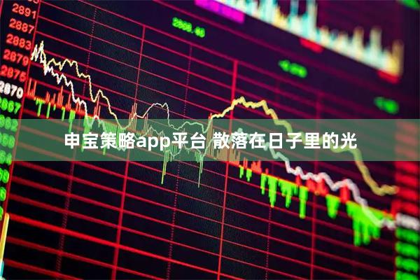申宝策略app平台 散落在日子里的光