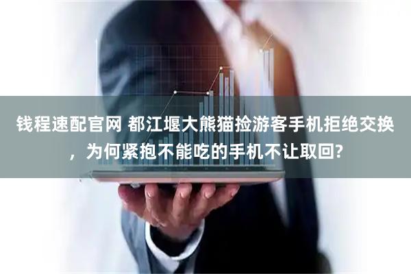 钱程速配官网 都江堰大熊猫捡游客手机拒绝交换，为何紧抱不能吃的手机不让取回?