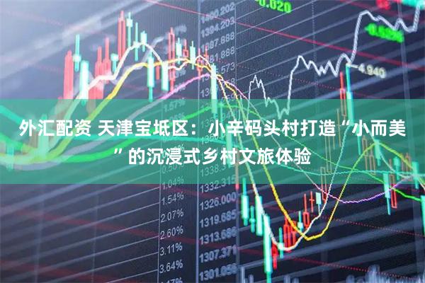 外汇配资 天津宝坻区：小辛码头村打造“小而美”的沉浸式乡村文旅体验
