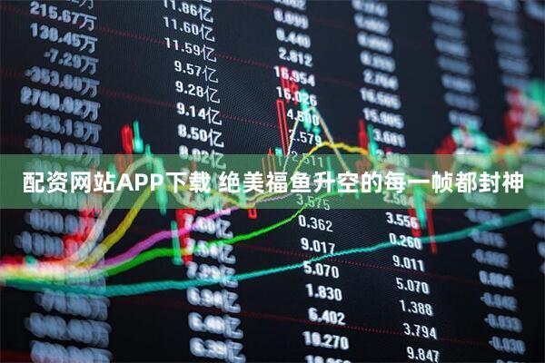 配资网站APP下载 绝美福鱼升空的每一帧都封神