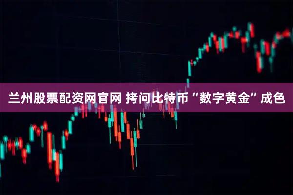 兰州股票配资网官网 拷问比特币“数字黄金”成色