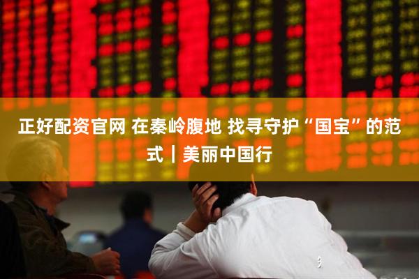 正好配资官网 在秦岭腹地 找寻守护“国宝”的范式｜美丽中国行